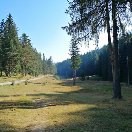 Вила Перика-Vila Perika Borino Eksteriør bilde