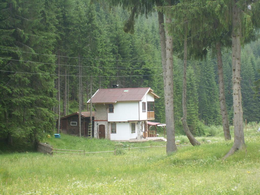 Вила Перика-Vila Perika Borino Rom bilde