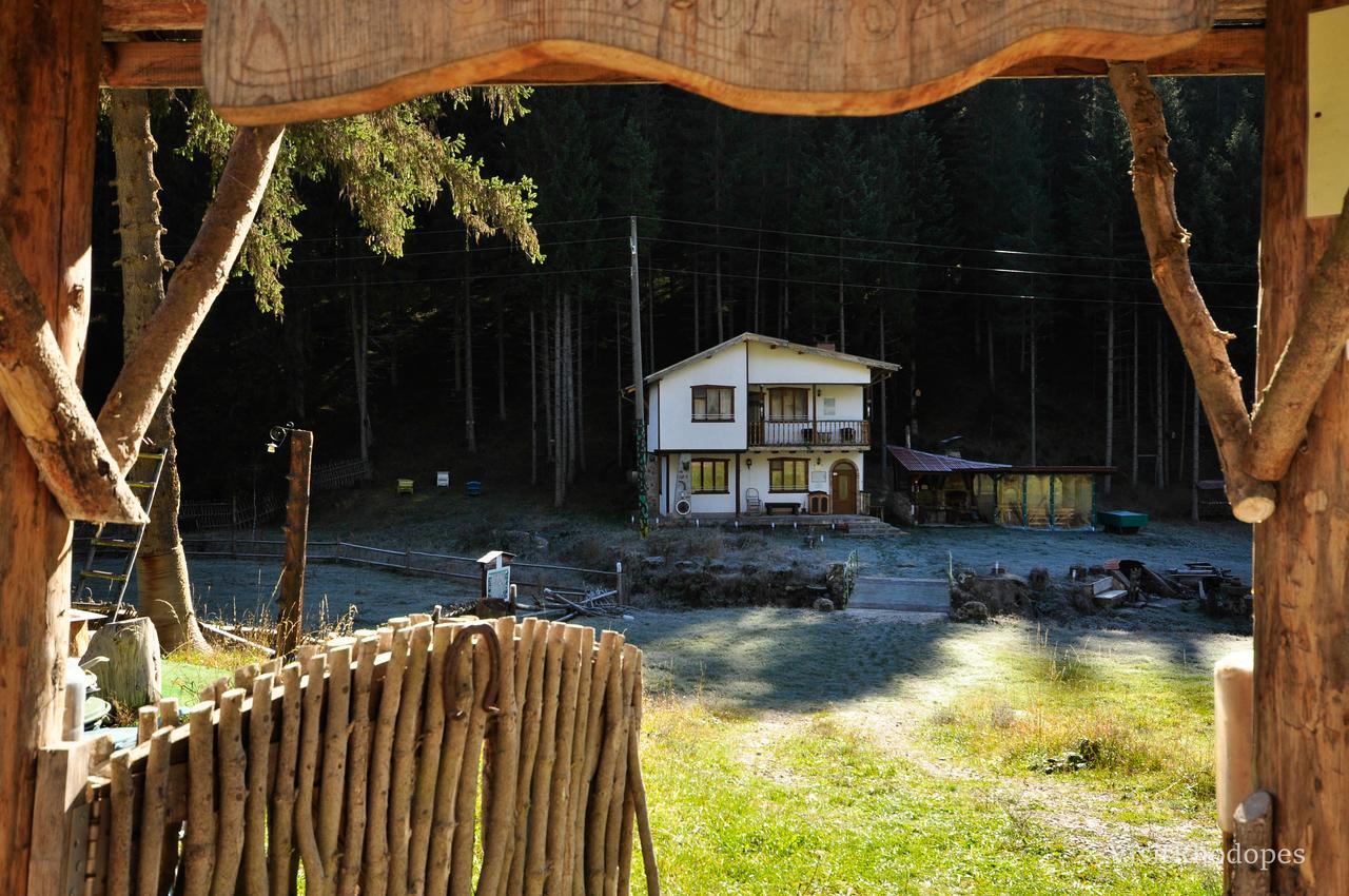 Вила Перика-Vila Perika Borino Eksteriør bilde